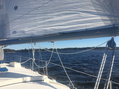 Sailing the Stono